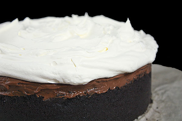 Muddy Mississippi Cake A close up photo taken of a Mississippi Mud Cake aka Muddy Mississippi Cake.